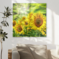 AC-030W030