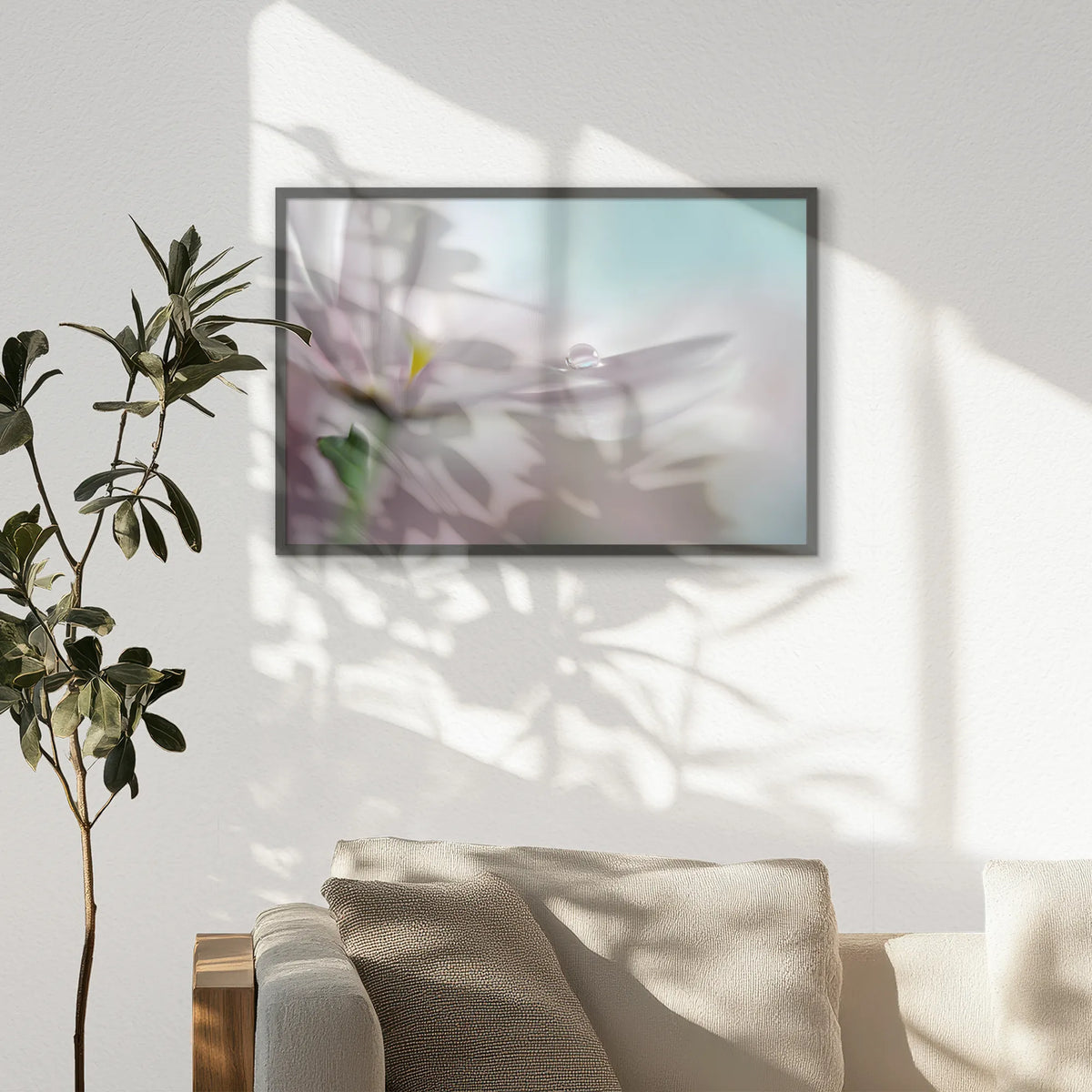 PK-093W062