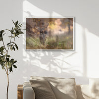 PW-093W062