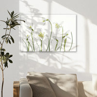 AL-045W030