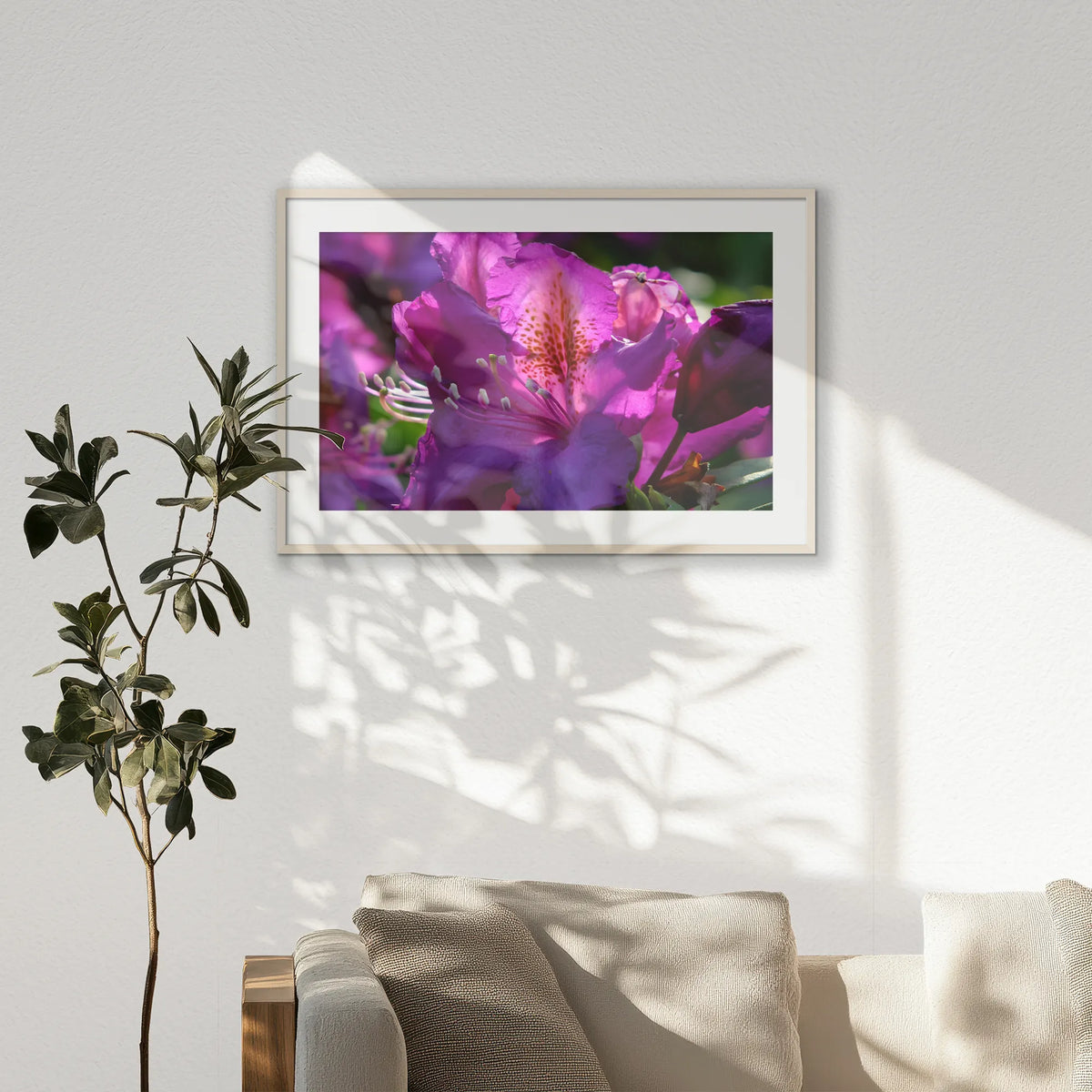 PNP100W070
