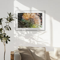 PSP093W062