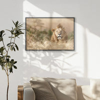 PB-060W040