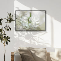 PK-093W062