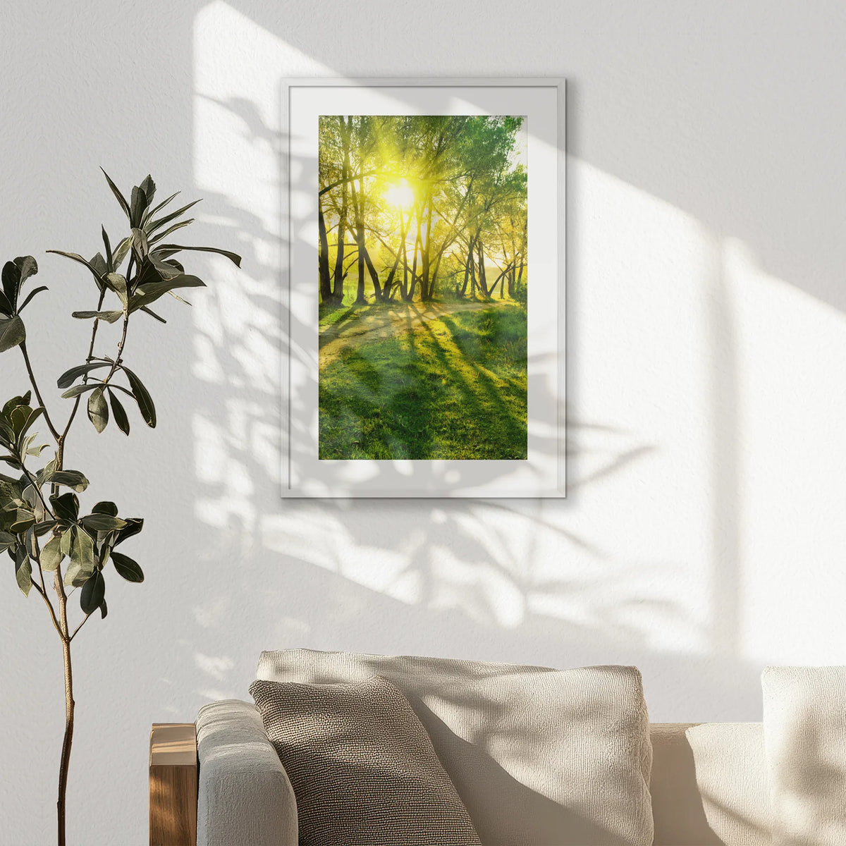PWP062W093