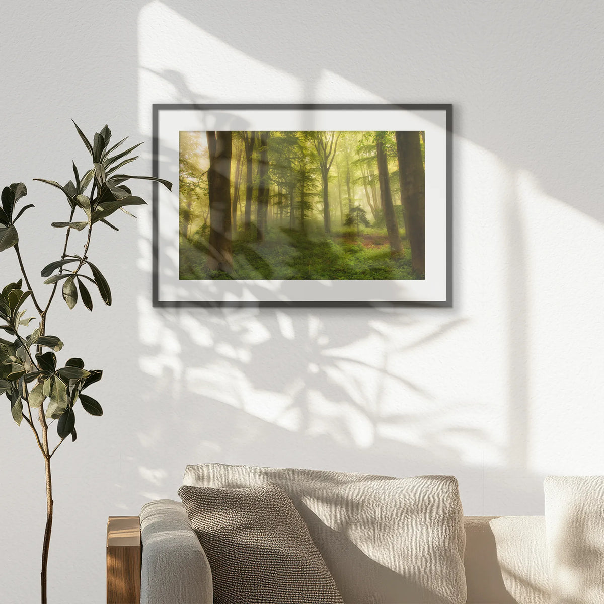 PKP093W062