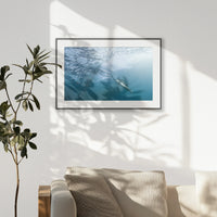 PBP093W062