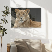 AL-045W030