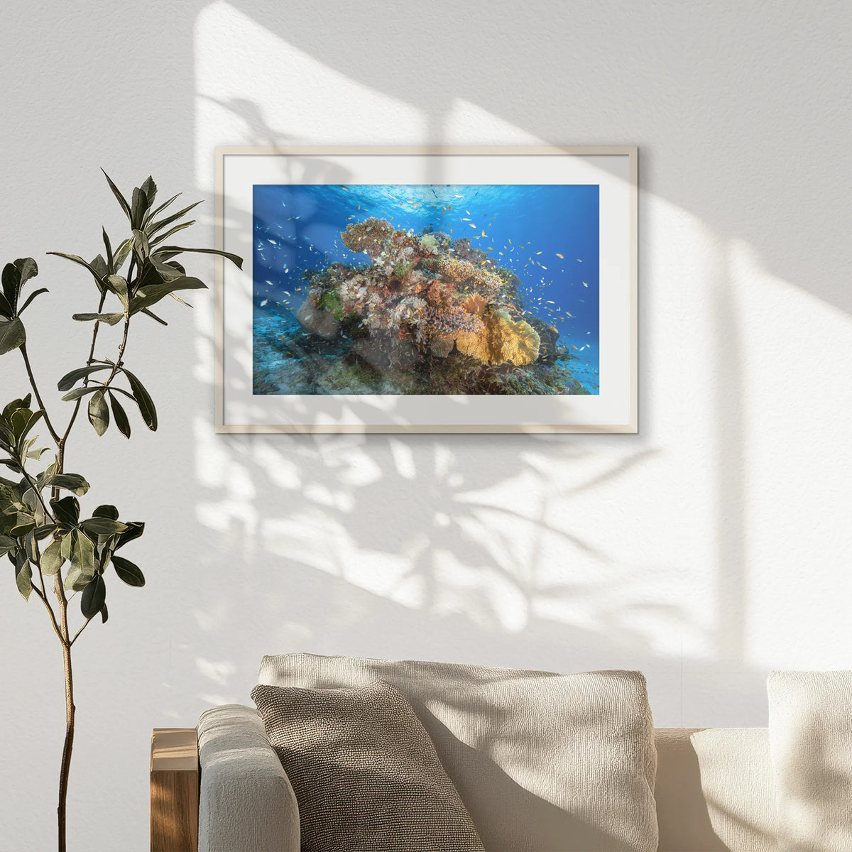 PNP093W062