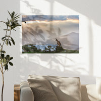 PO-030W020