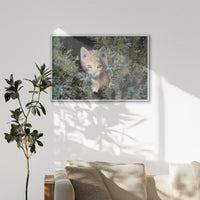 LWW120W080