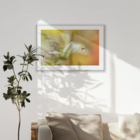 PSP100W070