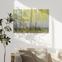 AC-075W050