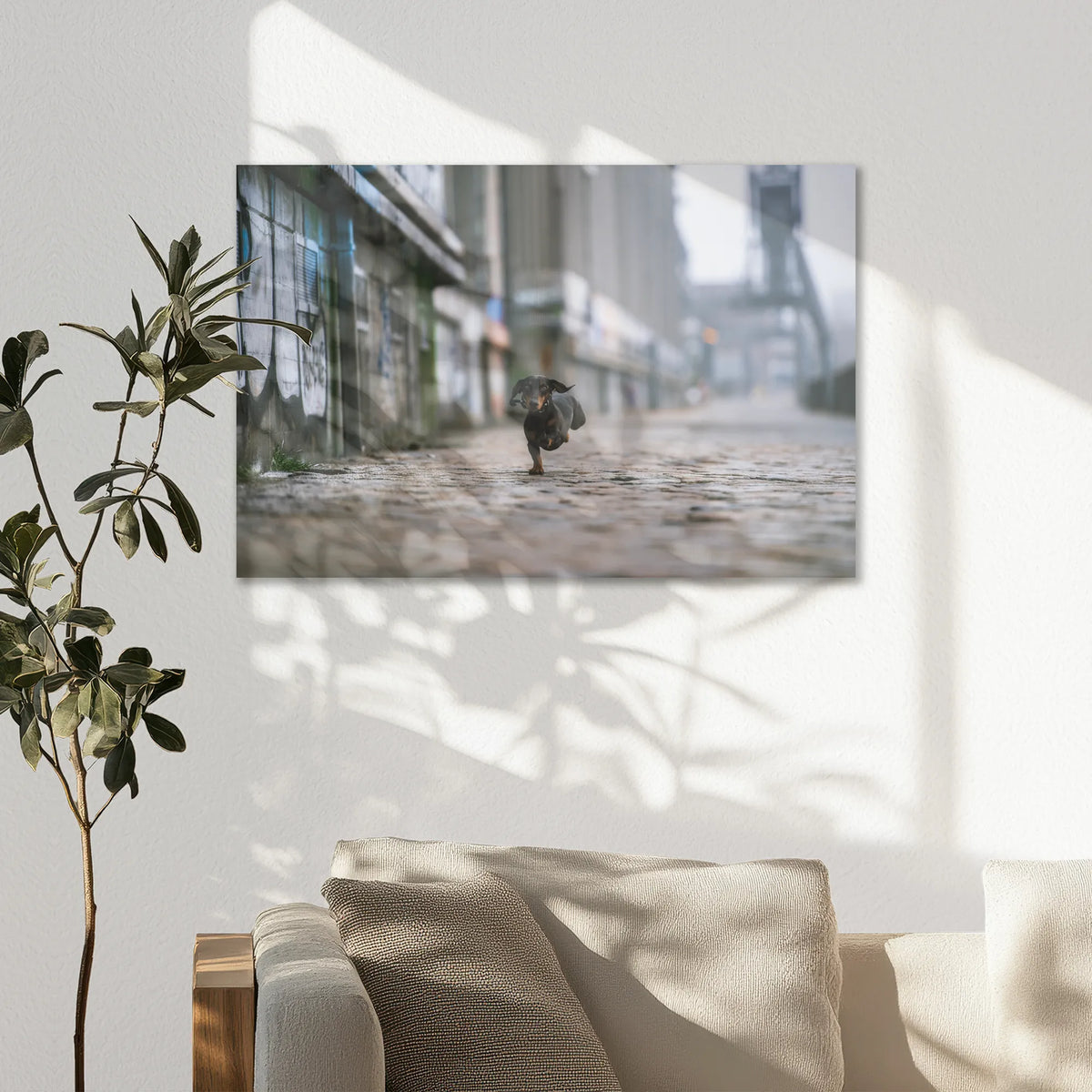 AC-075W050