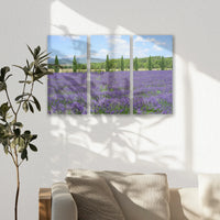 AC-060R040