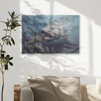 AL-045W030