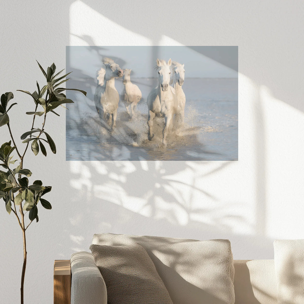 PO-075W050