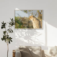 PN-100W070
