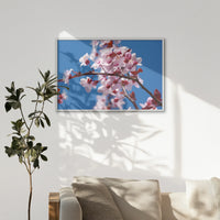 LWW120W080