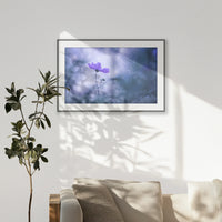 PBP100W070