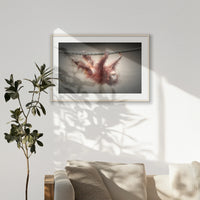 PNP100W070