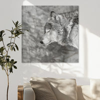 AC-090W090