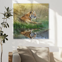 AC-050W050