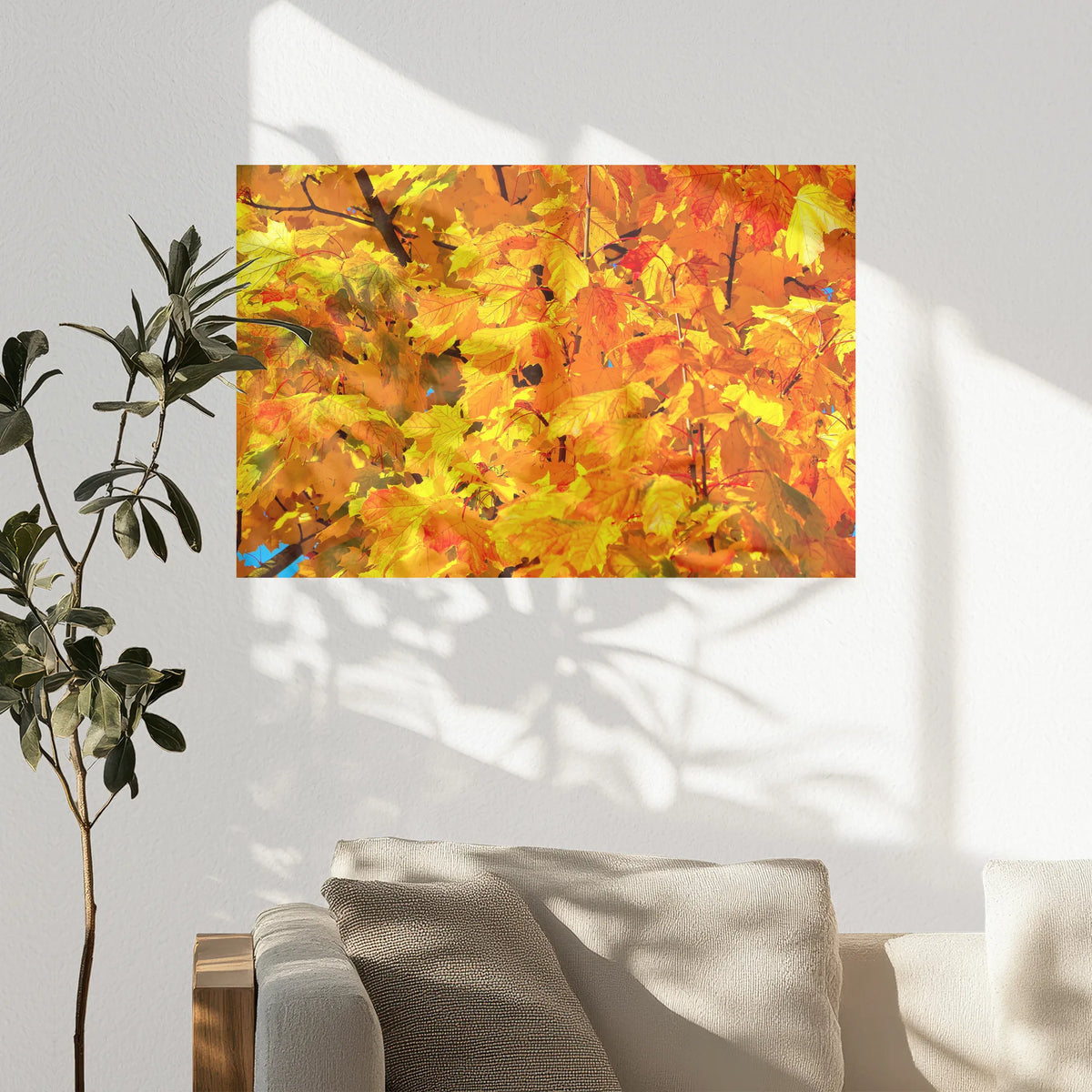 PO-090W060