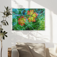 AL-045W030