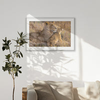 PSP100W070