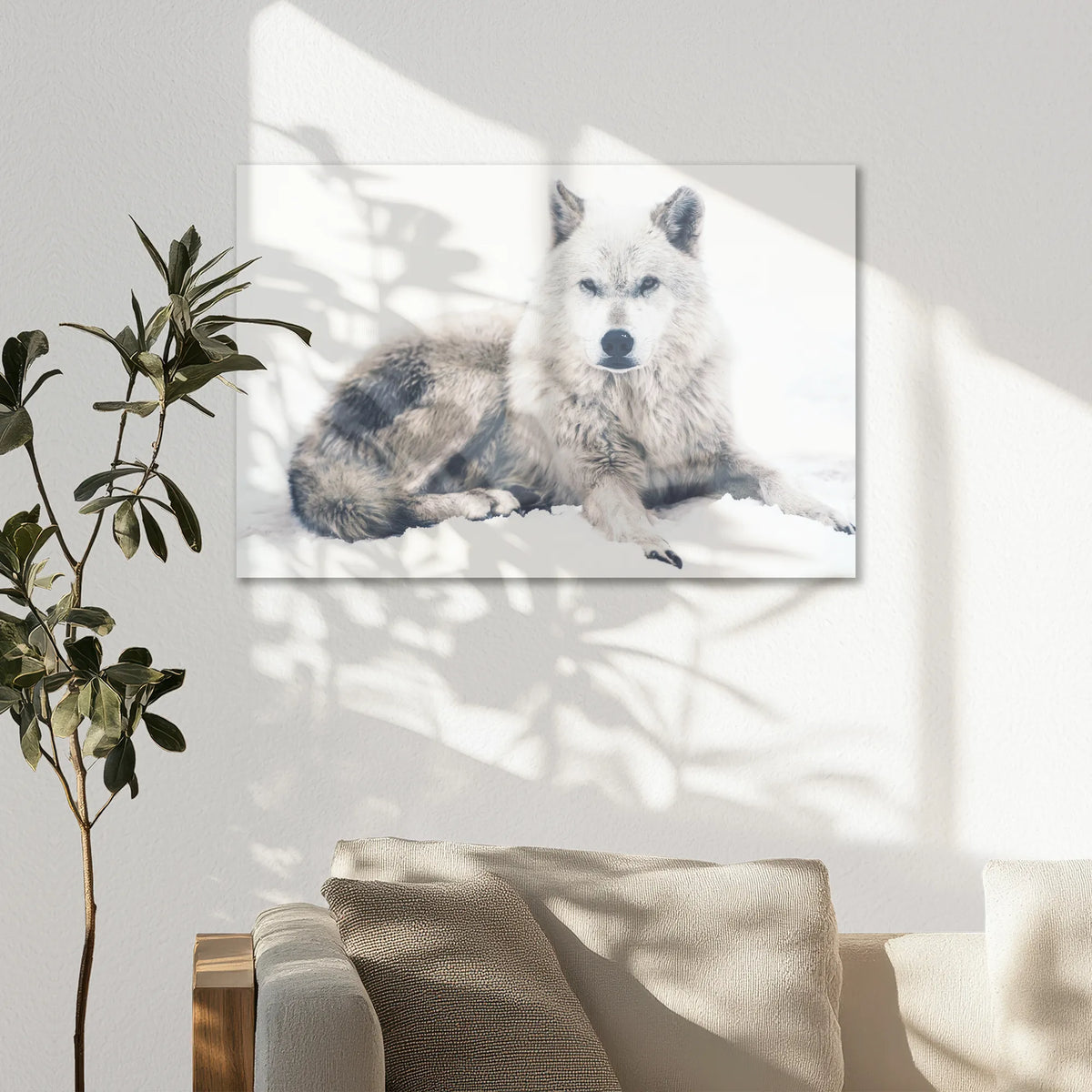 AC-075W050