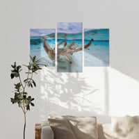AC-180T120