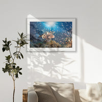 PSP100W070