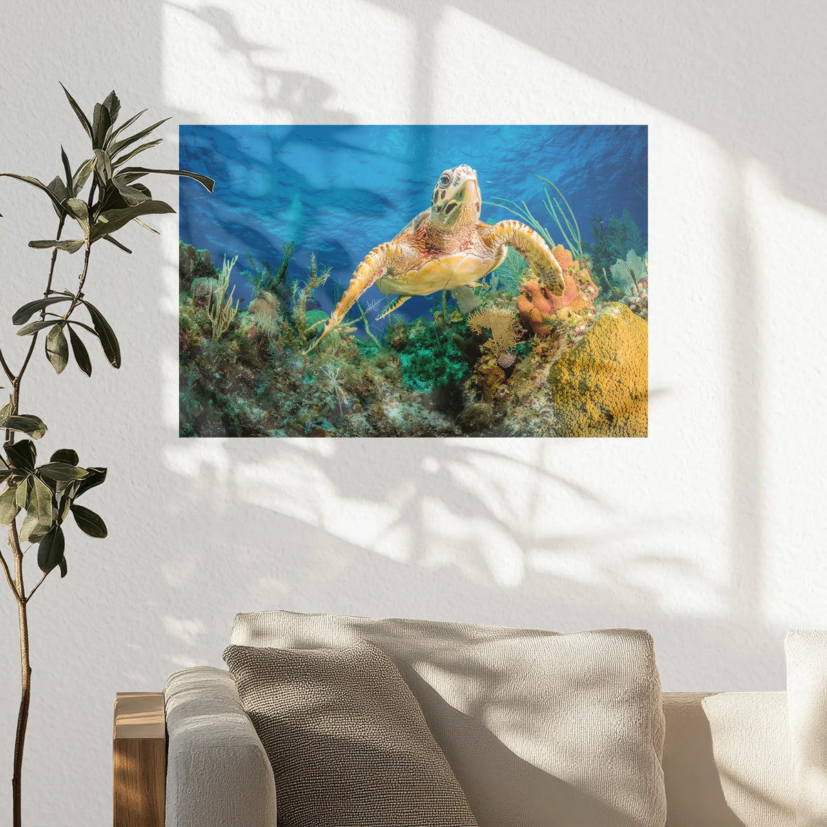 PO-030W020