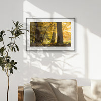 PBP093W062