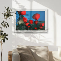 LWW030W020