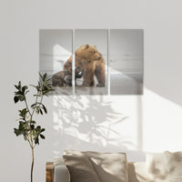 AL-150R100