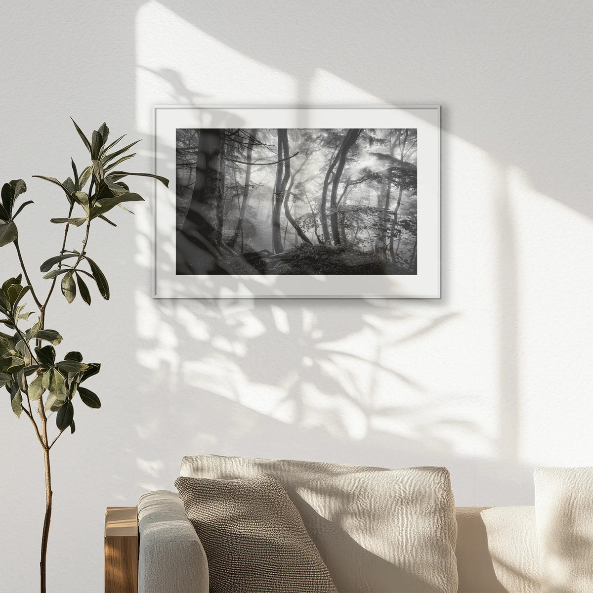 PSP093W062