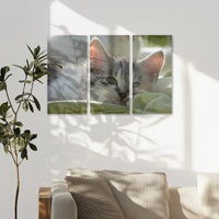 AC-090R060