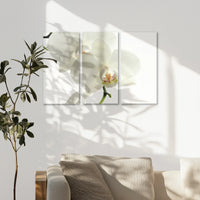 AC-090R060