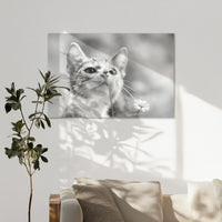 AC-120W080