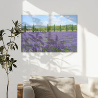 AL-090W060