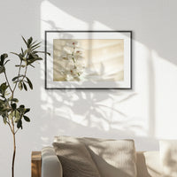 PBP060W040