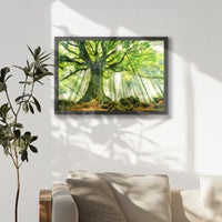 LWB060W040