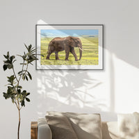 PBP120W080