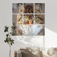AC-270Z270