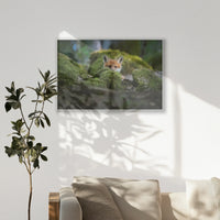 PS-100W070
