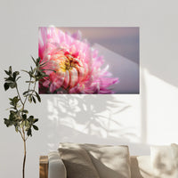 PO-120W080