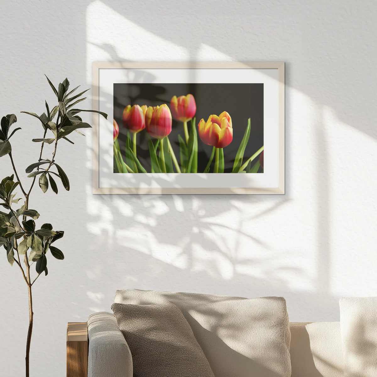 PNP060W040