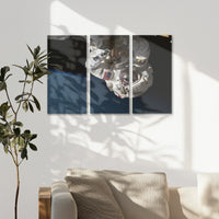 AC-090R060